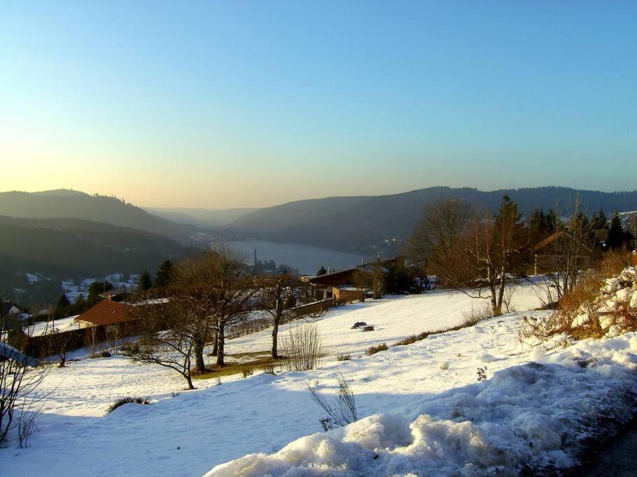Gerardmer Centre - Studio Au Pied Du Lac Grande Terrasse Eksteriør bilde